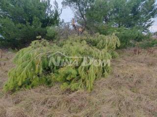 Građevinsko zemljište, Prodaja, Vir, Vir