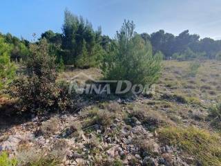 Poljoprivredno zemljište, Prodaja, Vir, Vir