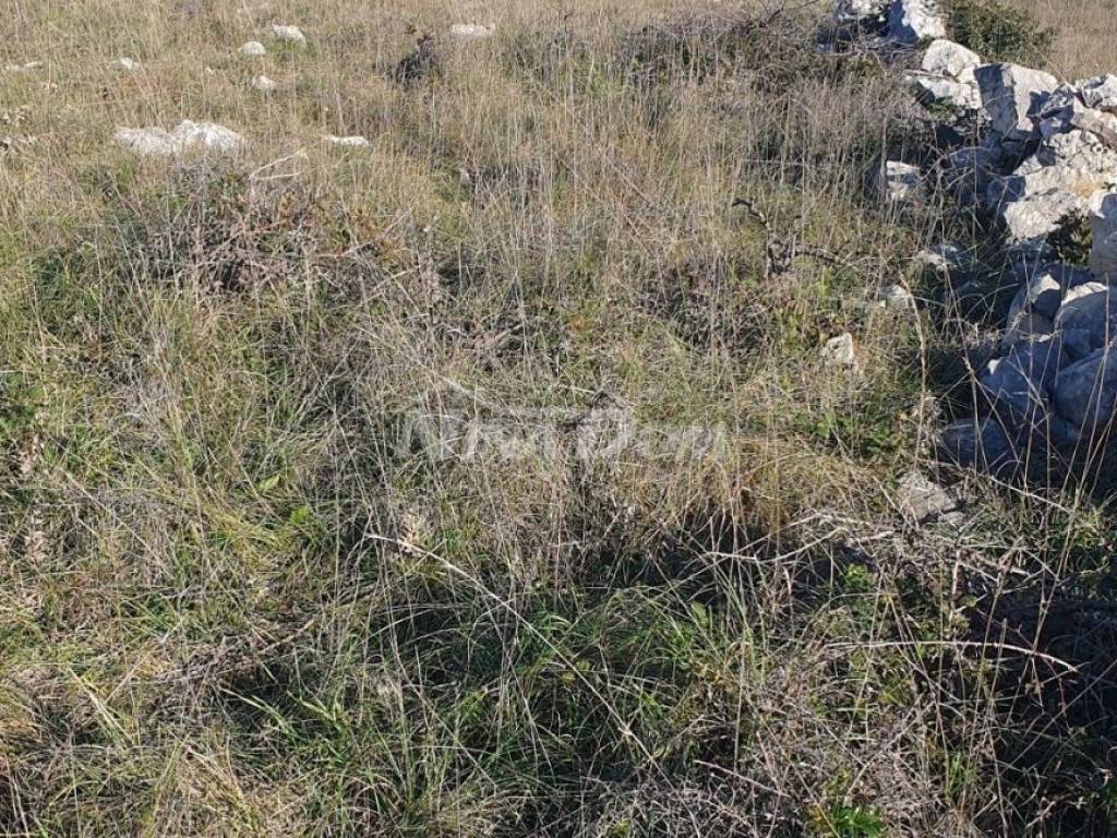 Poljoprivredno zemljište, Prodaja, Vir, Vir