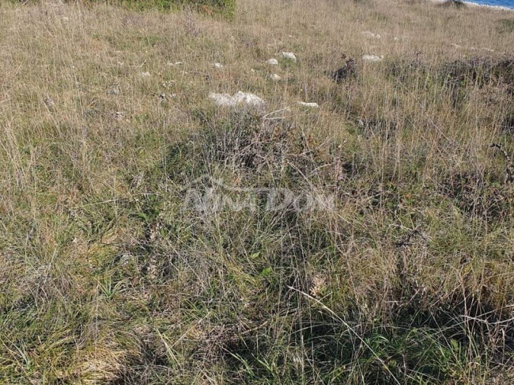 Poljoprivredno zemljište, Prodaja, Vir, Vir