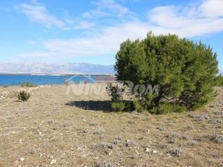 Poljoprivredno zemljište, Prodaja, Vir, Vir