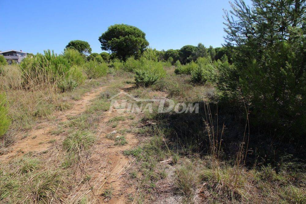 Zemljište - ostalo, Prodaja, Nin, Zaton