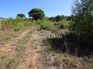 Zemljište - ostalo, Prodaja, Nin, Zaton