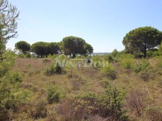 Zemljište - ostalo, Prodaja, Nin, Zaton