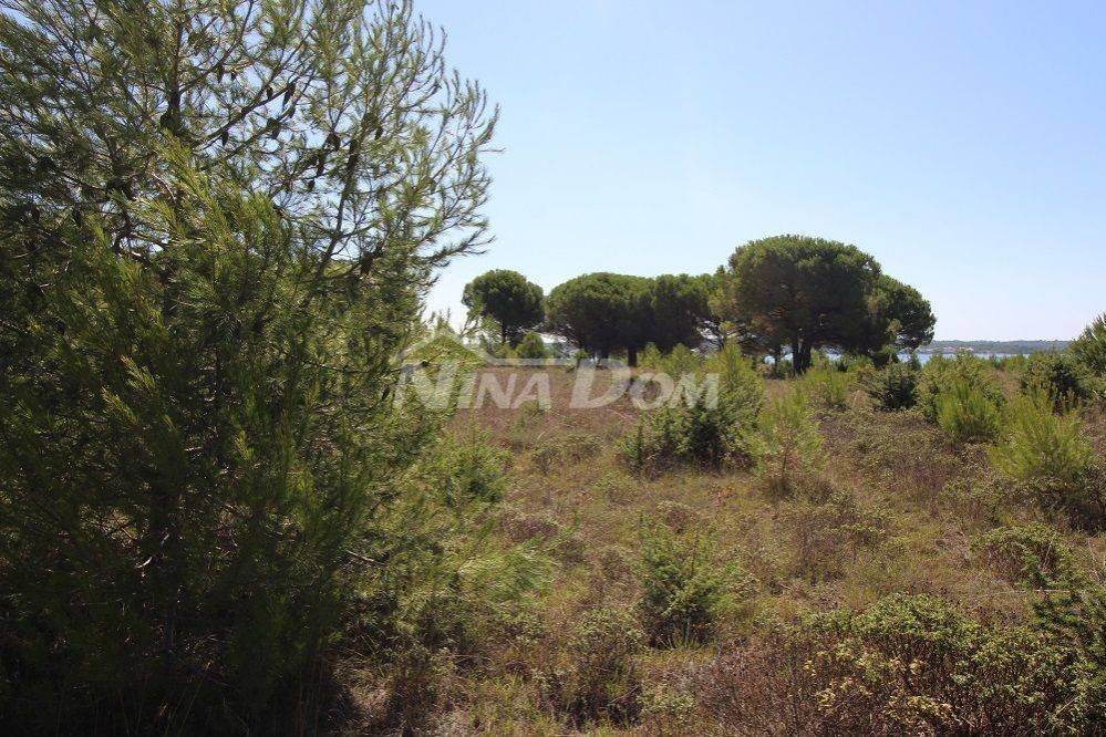 Zemljište - ostalo, Prodaja, Nin, Zaton