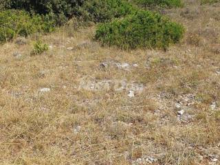 Poljoprivredno zemljište, Prodaja, Vir, Vir