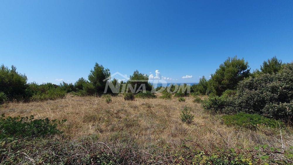 Poljoprivredno zemljište, Prodaja, Vir, Vir