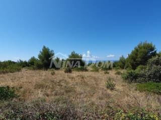 Poljoprivredno zemljište, Prodaja, Vir, Vir