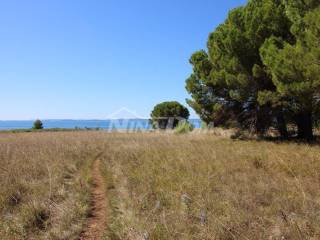 Zemljište - ostalo, Prodaja, Nin, Nin