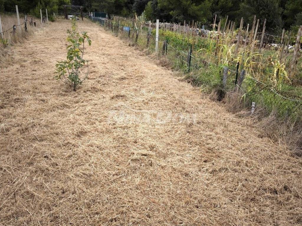 Poljoprivredno zemljište, Prodaja, Vir, Vir