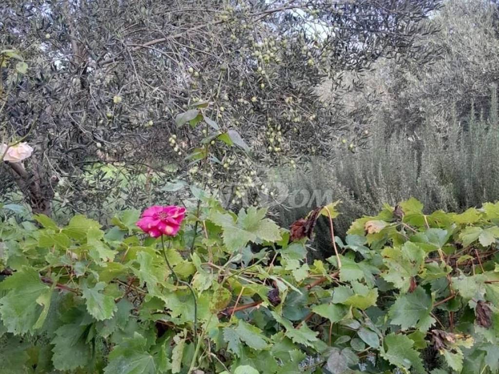 Kuća na moru, Prodaja, Preko, Ugljan