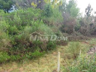 Građevinsko zemljište, Prodaja, Vir, Vir