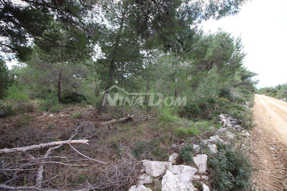 Zemljište - ostalo, Prodaja, Vir, Vir