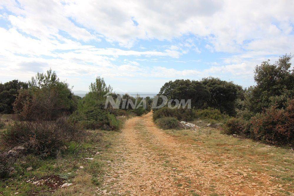 Poljoprivredno zemljište, Prodaja, Vir, Vir