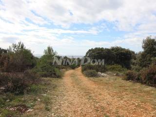 Poljoprivredno zemljište, Prodaja, Vir, Vir