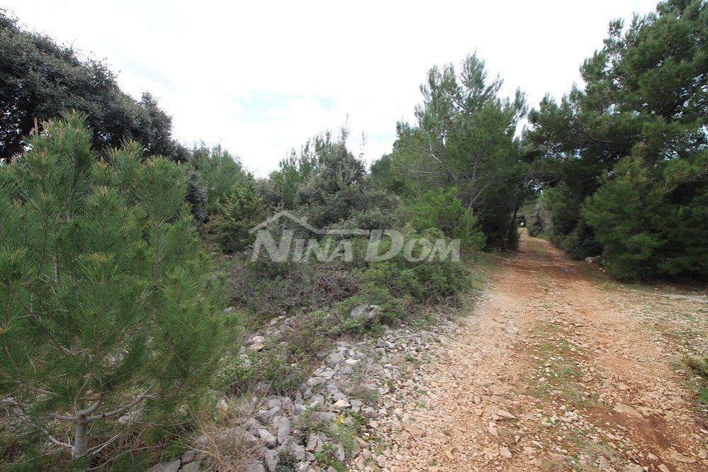 Poljoprivredno zemljište, Prodaja, Vir, Vir