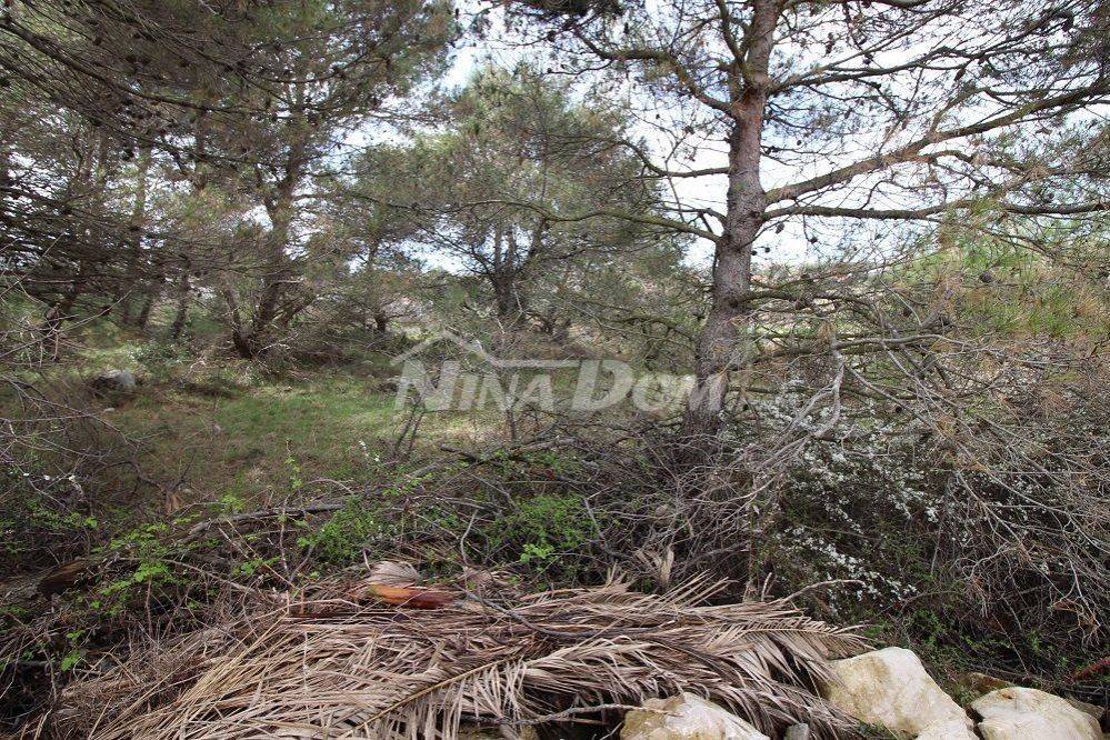 Građevinsko zemljište, Prodaja, Vir, Vir