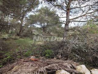 Građevinsko zemljište, Prodaja, Vir, Vir