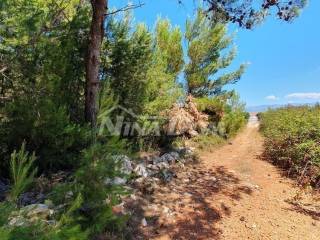 Poljoprivredno zemljište, Prodaja, Vir, Vir