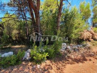 Poljoprivredno zemljište, Prodaja, Vir, Vir