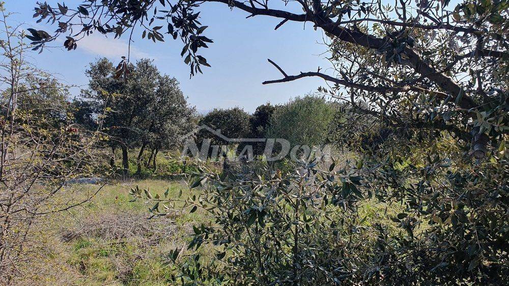 Građevinsko zemljište, Prodaja, Vir, Vir