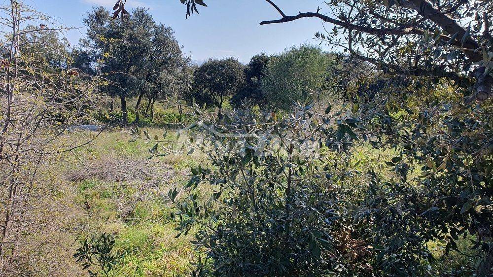 Građevinsko zemljište, Prodaja, Vir, Vir