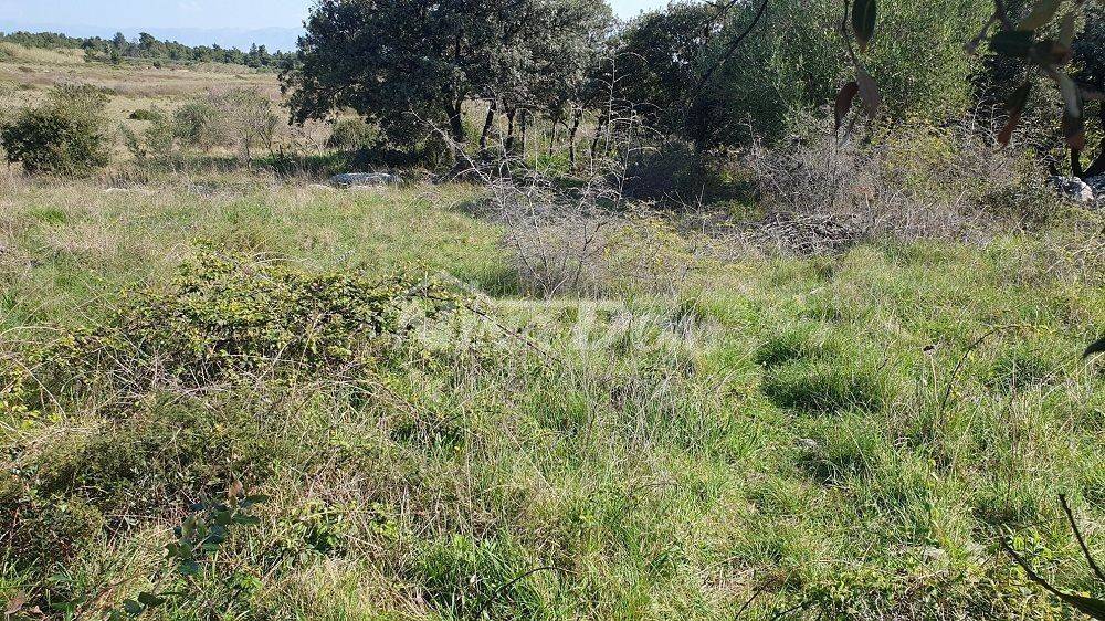 Građevinsko zemljište, Prodaja, Vir, Vir