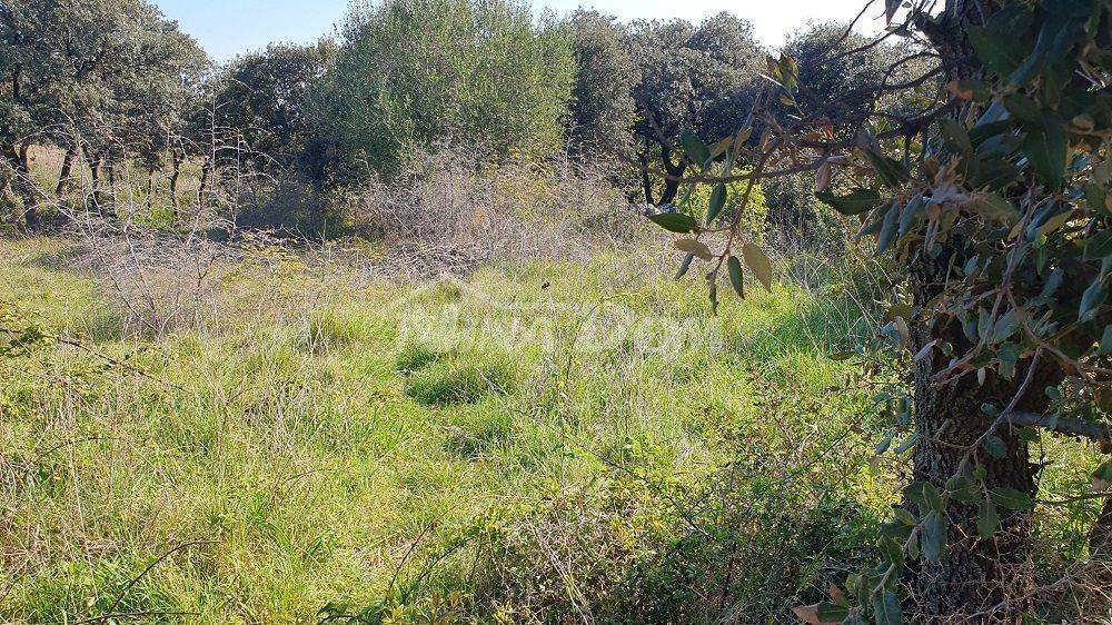 Građevinsko zemljište, Prodaja, Vir, Vir