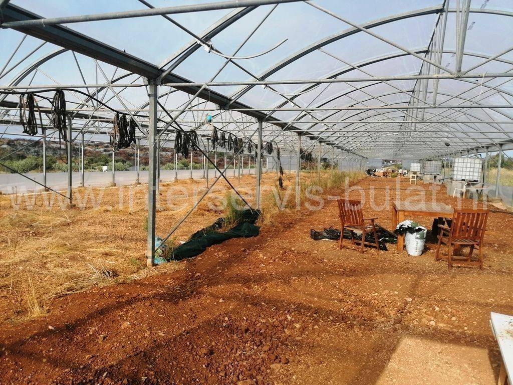 Poljoprivredno zemljište, Prodaja, Šibenik - Okolica, Jadrija