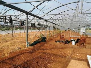 Poljoprivredno zemljište, Prodaja, Šibenik - Okolica, Jadrija