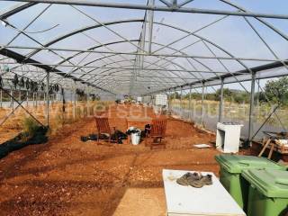 Poljoprivredno zemljište, Prodaja, Šibenik - Okolica, Jadrija