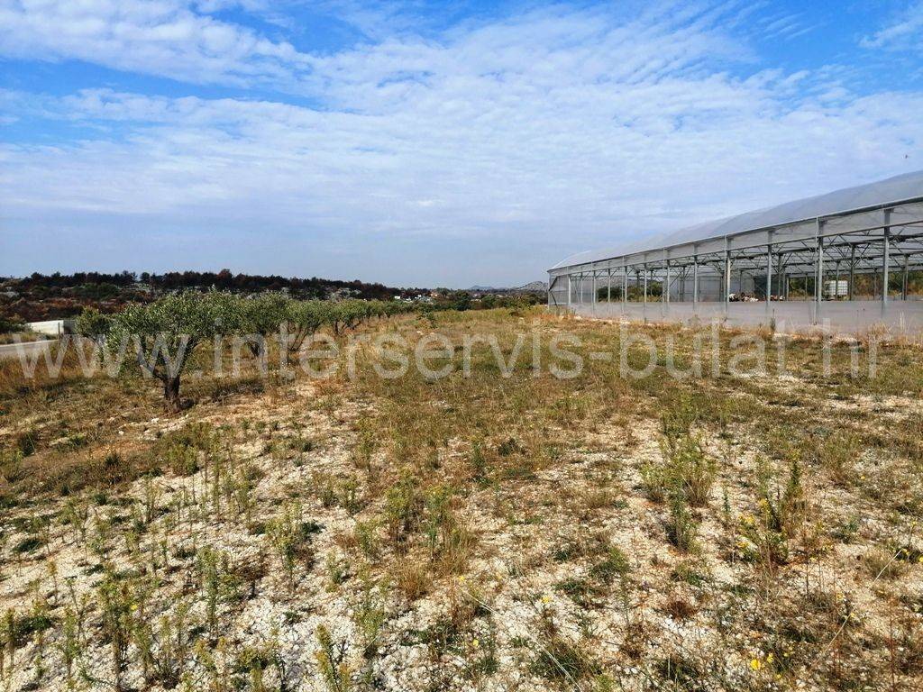 Poljoprivredno zemljište, Prodaja, Šibenik - Okolica, Jadrija