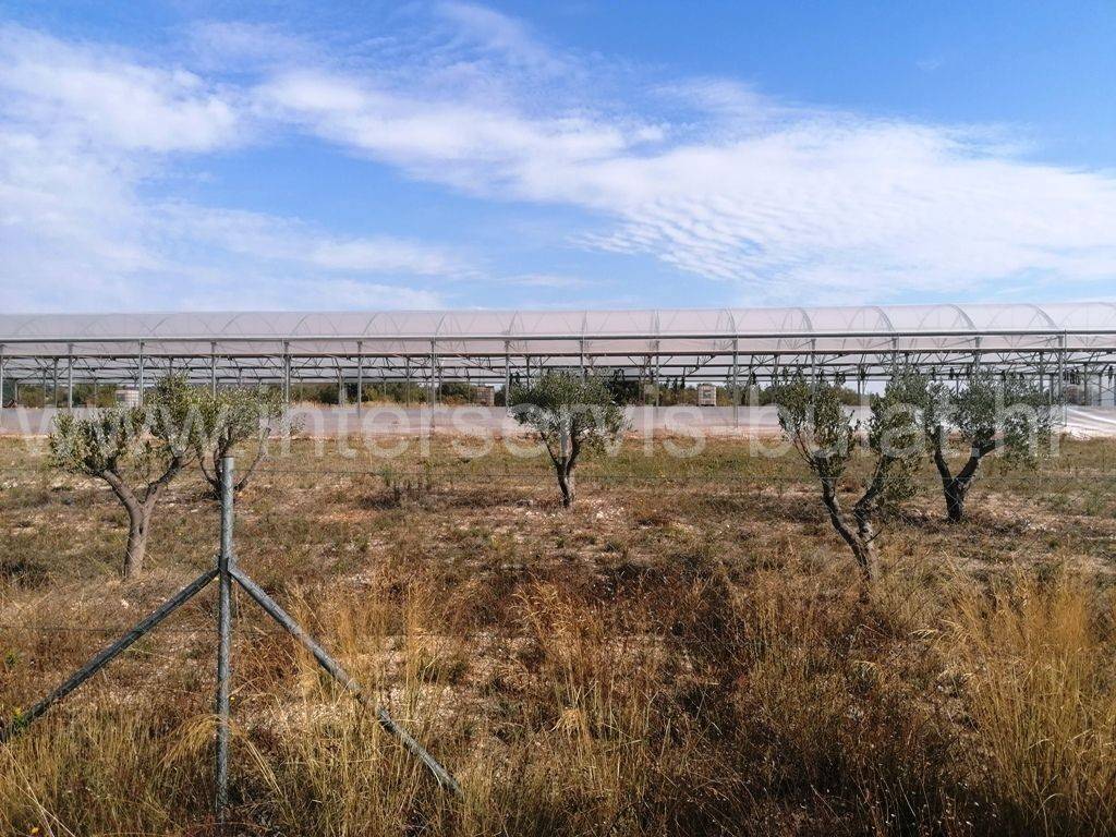 Poljoprivredno zemljište, Prodaja, Šibenik - Okolica, Jadrija