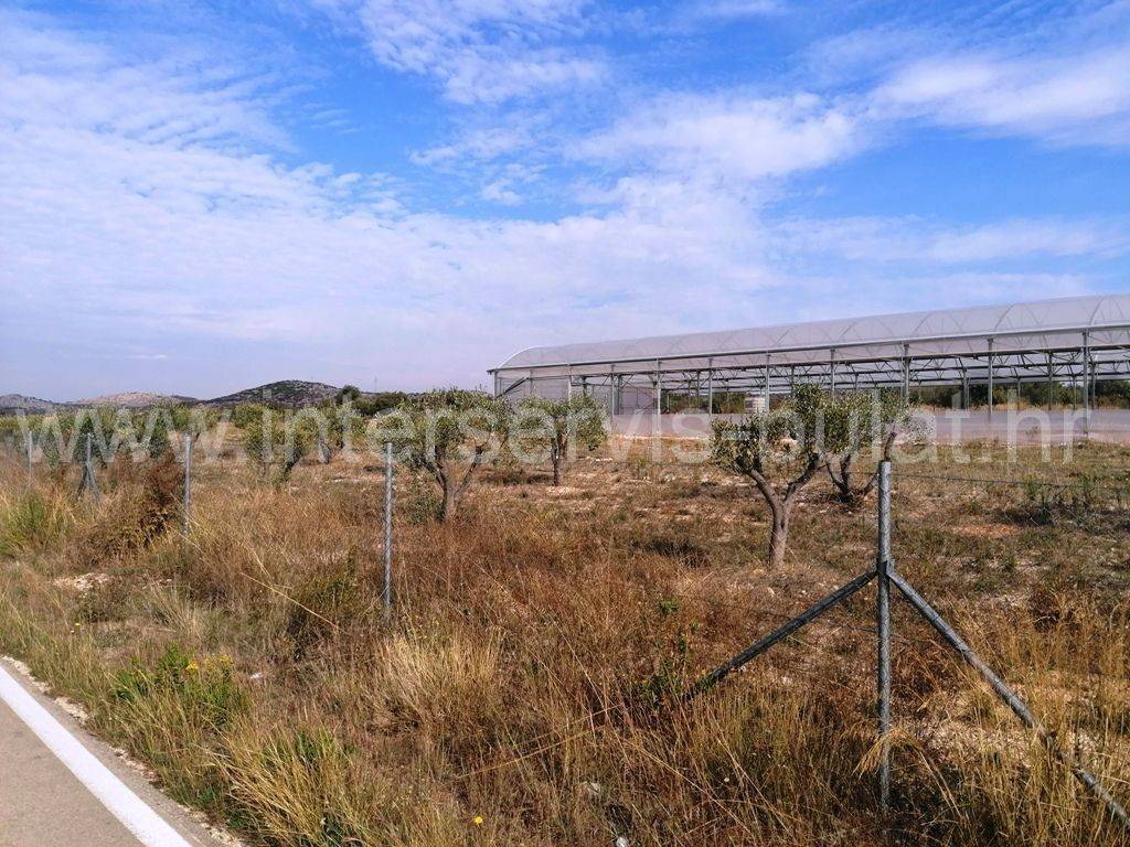 Poljoprivredno zemljište, Prodaja, Šibenik - Okolica, Jadrija