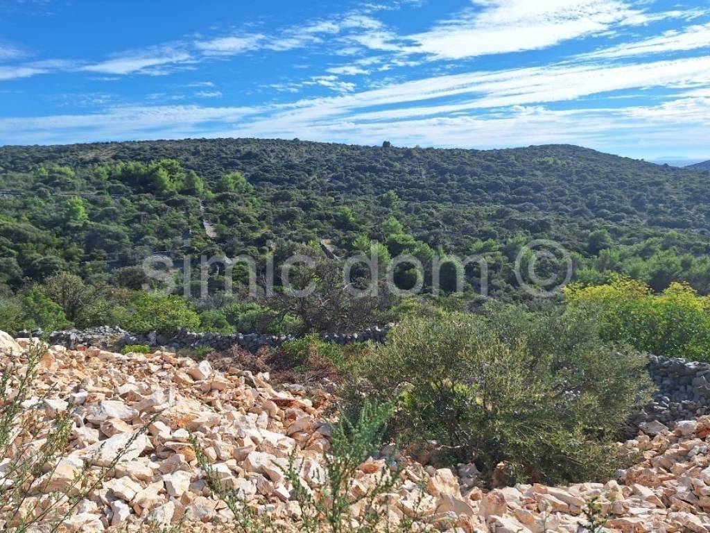 Poljoprivredno zemljište, Prodaja, Marina, Sevid