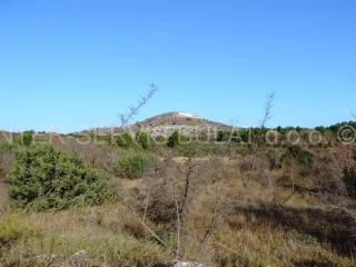 Poljoprivredno zemljište, Prodaja, Vodice, Vodice