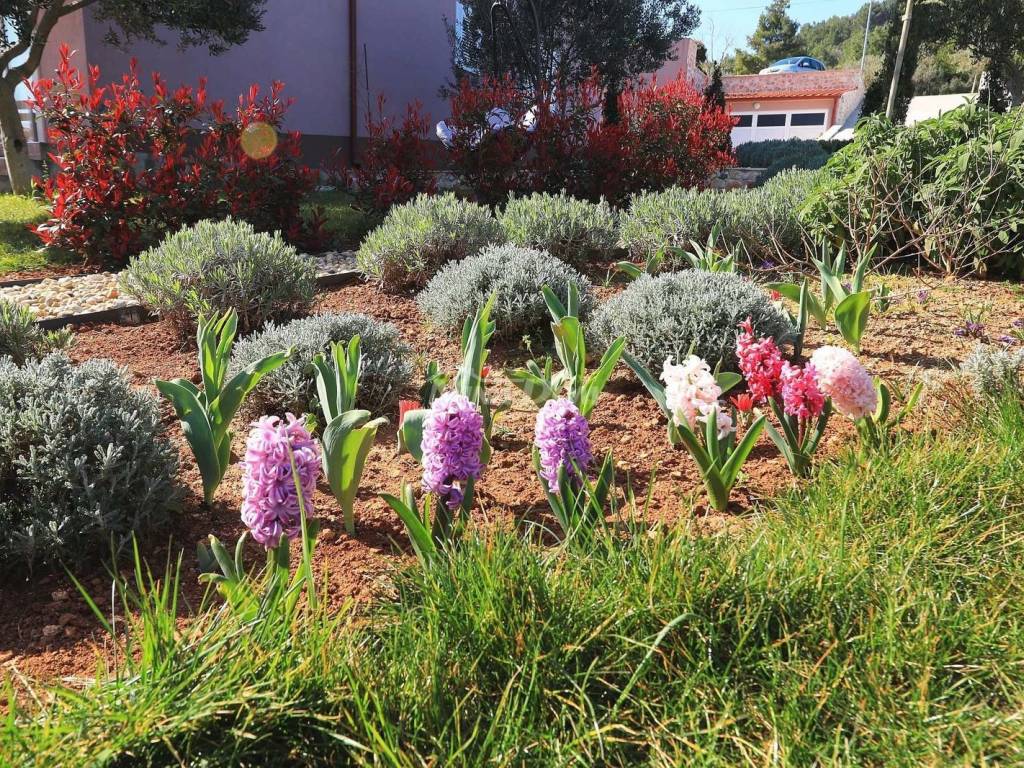 Apartmanska kuća, Prodaja, Pašman, Pašman