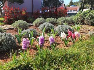 Apartmanska kuća, Prodaja, Pašman, Pašman