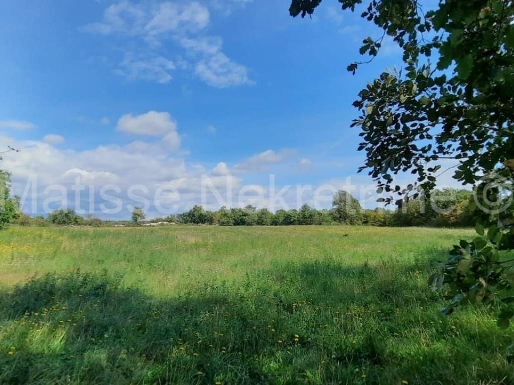 Poljoprivredno zemljište, Prodaja, Marčana, Marčana