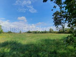 Poljoprivredno zemljište, Prodaja, Marčana, Marčana