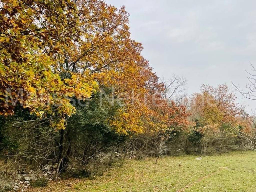 Poljoprivredno zemljište, Prodaja, Marčana, Marčana