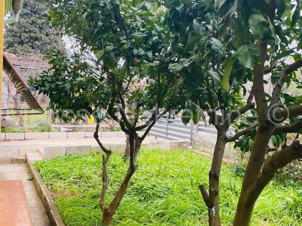 Samostojeća kuća, Prodaja, Fažana, Fažana