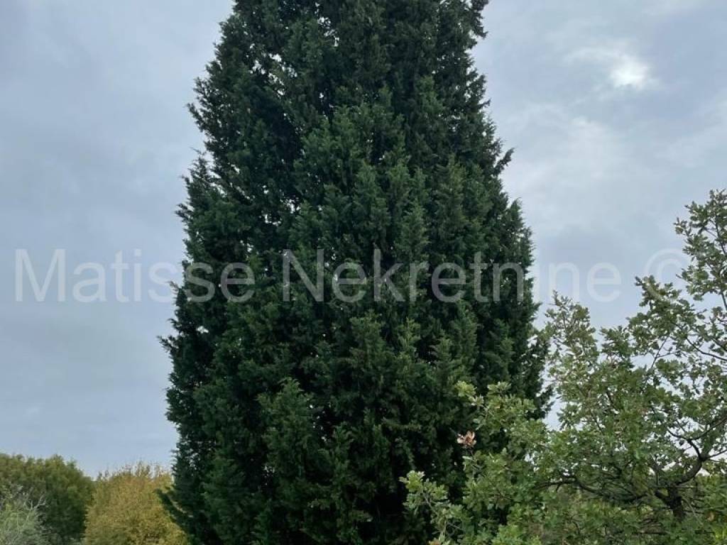 Poljoprivredno zemljište, Prodaja, Marčana, Marčana