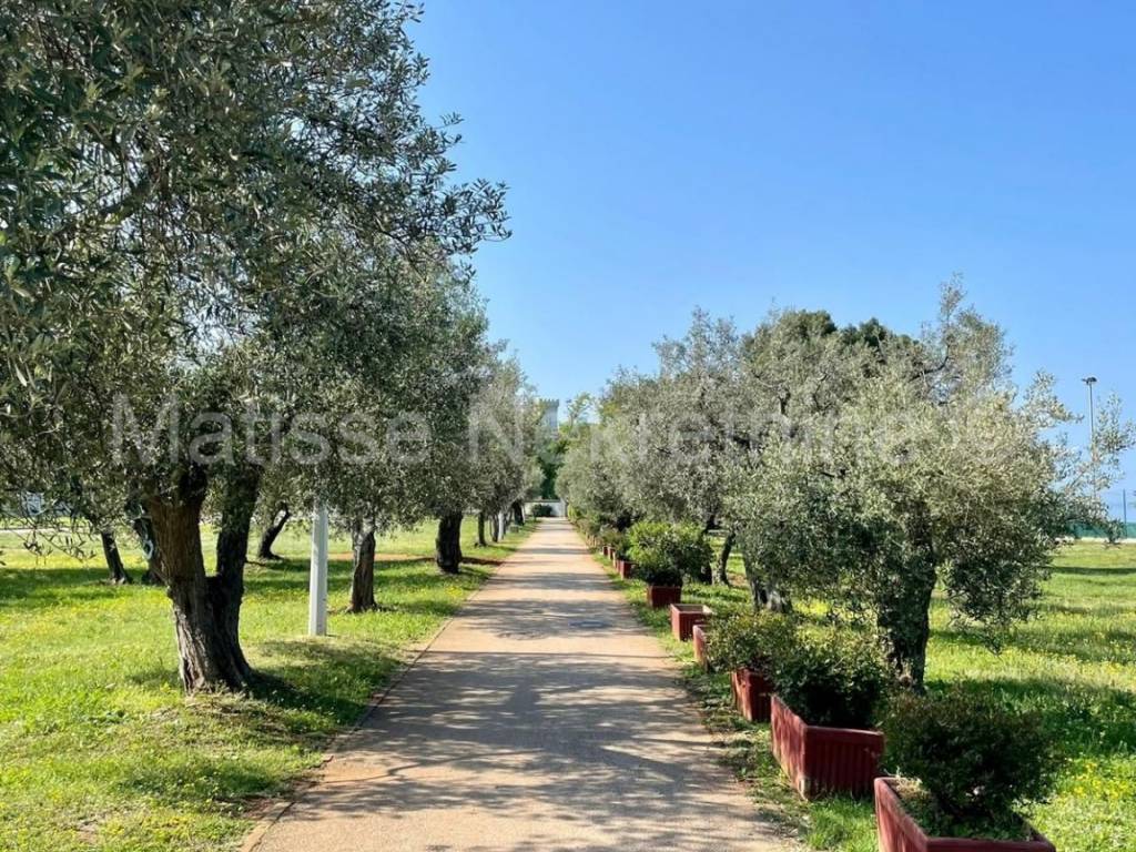 Samostojeća kuća, Prodaja, Fažana, Fažana