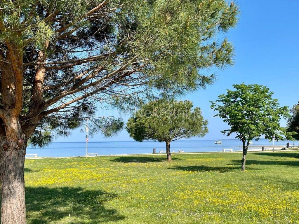 Samostojeća kuća, Prodaja, Fažana, Fažana