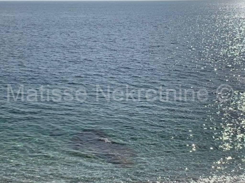 Građevinsko zemljište, Prodaja, Marčana, Marčana