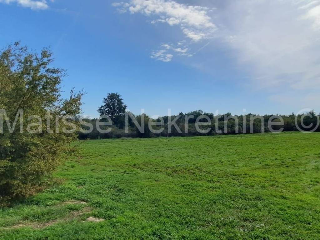 Poljoprivredno zemljište, Prodaja, Marčana, Marčana