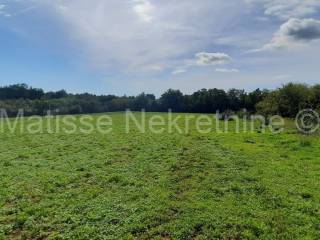 Poljoprivredno zemljište, Prodaja, Marčana, Marčana