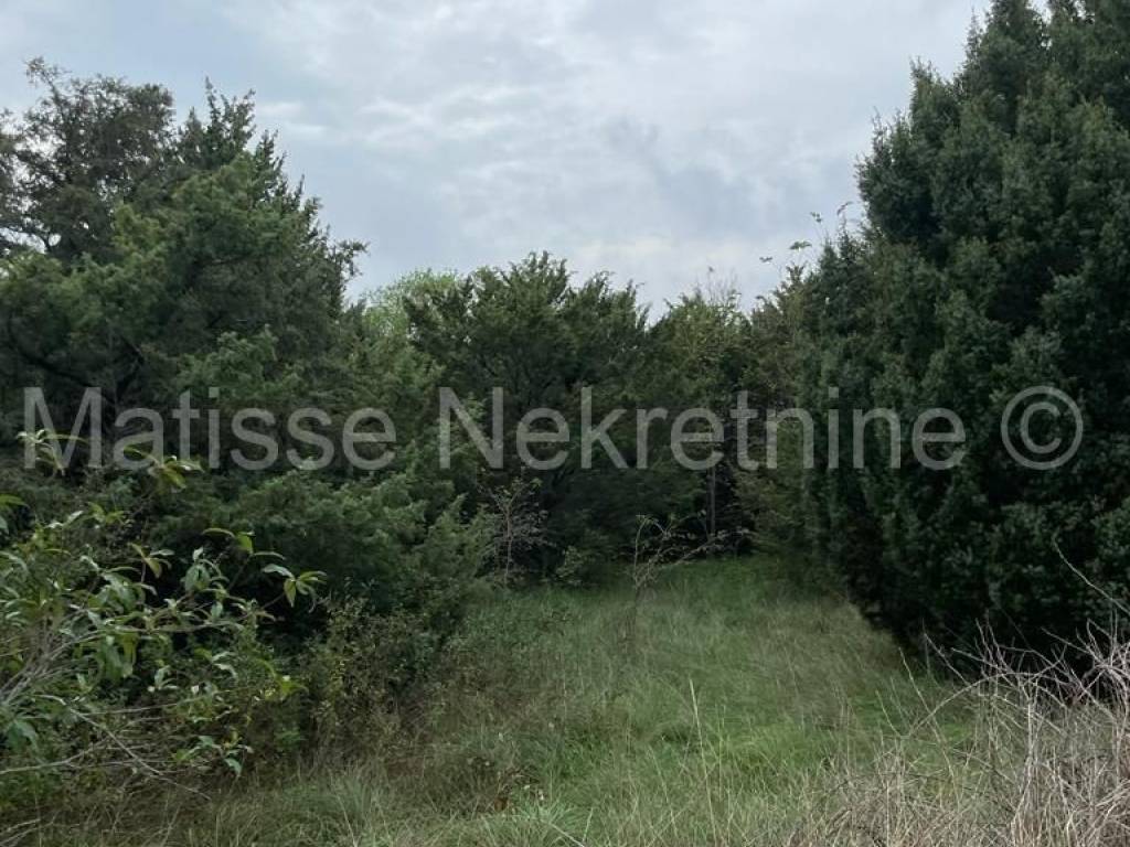 Poljoprivredno zemljište, Prodaja, Marčana, Marčana