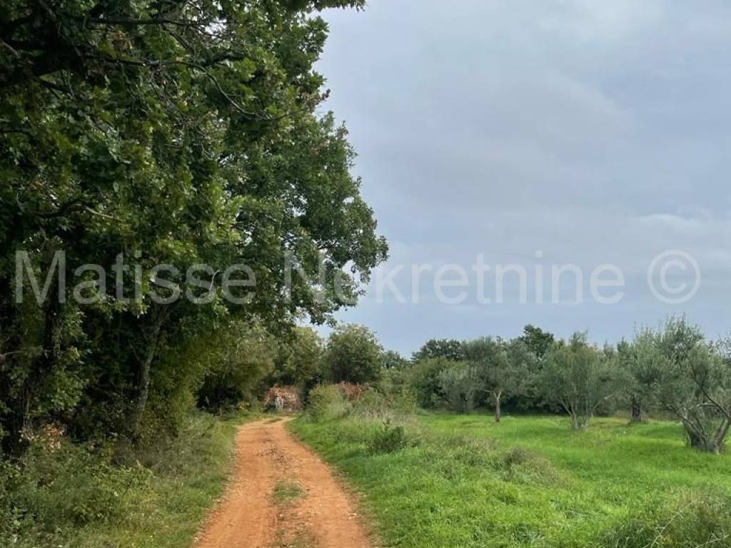 Poljoprivredno zemljište, Prodaja, Marčana, Marčana